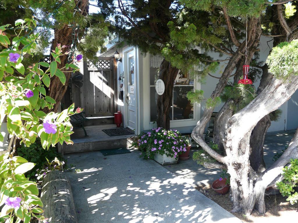 Harbor Inn Santa Cruz Exterior foto